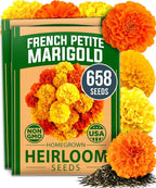 HOME GROWN Petite French Marigold Seeds 658 Flower Seeds by HOMEGROWN