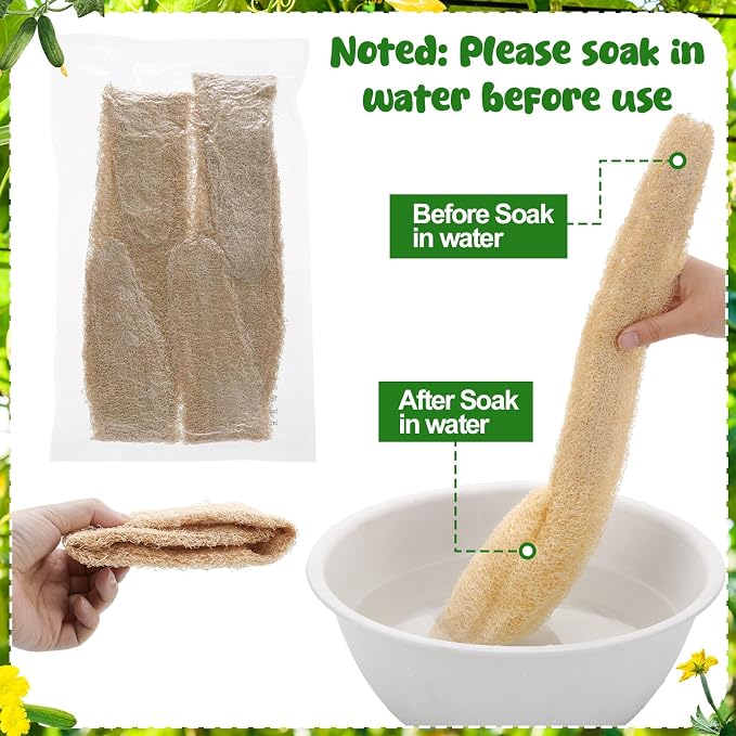 15.7-19.7 inches Natural Loofah Sponges Pack of 4 - Image 4