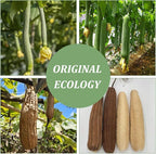 Nogeqi 20 Pcs Natural Loofah Sponge Pads - Image 6