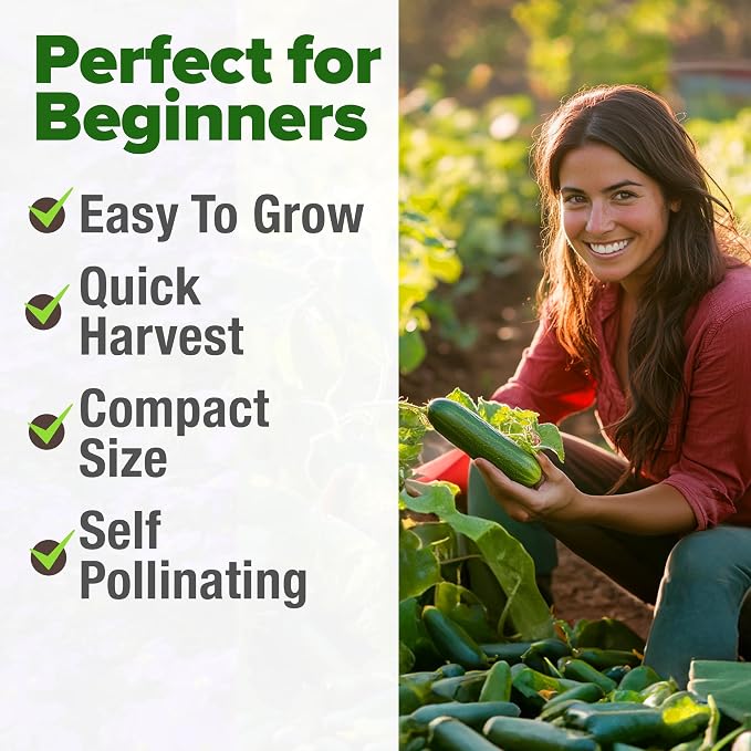 HOME GROWN Persian Cucumber Seeds 50+ Heirloom Non-GMO, Beit Alpha Variety - Image 4