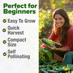 HOME GROWN Persian Cucumber Seeds 50+ Heirloom Non-GMO, Beit Alpha Variety - Image 4