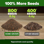 HOME GROWN Cherry Belle Radish Seeds 800+ Heirloom Non-GMO Seeds - Image 3