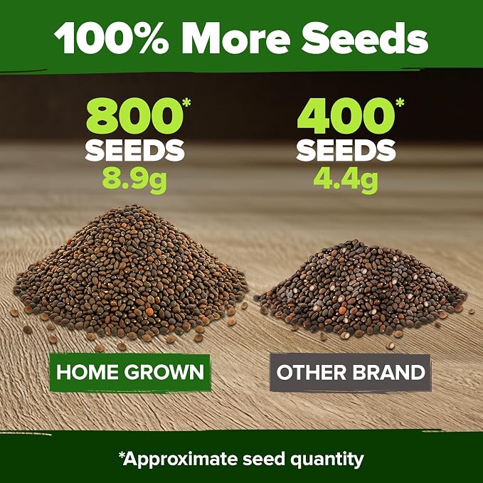HOME GROWN Cherry Belle Radish Seeds 800+ Heirloom Non-GMO Seeds - Image 3