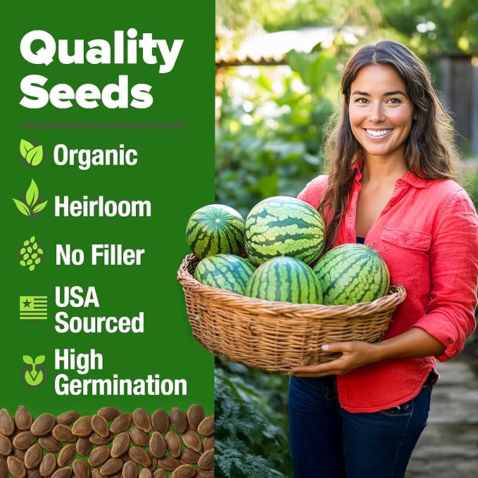HOME GROWN Organic Crimson Sweet Watermelon Seeds 15+ Heirloom Non-GMO - Image 2