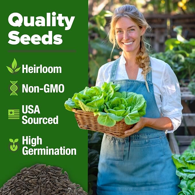 HOME GROWN Buttercrunch Lettuce Seeds 3950+ Bulk Pack Heirloom Non-GMO - Image 3