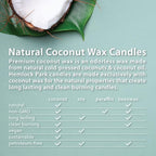 Hemlock Park Sea Salt Orchid Apothecary Hand-Poured Scented Candle | Crackling - Image 5