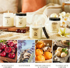 Soy Wax Scented Candle Gift Set, 4 Pack Lavender, Vanilla Scents, Long Lasting - Image 2