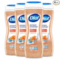 Dial Body Wash, Pamper & Indulge, Silk & Seaberry, 16 fl oz by DialSoap