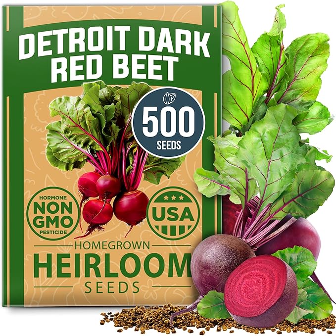 HOME GROWN Detroit Dark Red Beet Seeds 500+ Heirloom Non GMO Seeds by HOMEGROWN