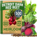 HOME GROWN Detroit Dark Red Beet Seeds 500+ Heirloom Non GMO Seeds by HOMEGROWN