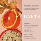 OUAI Scalp & Body Scrub, St. Barts - Image 4