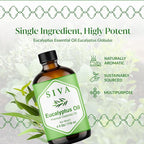 Siva Eucalyptus Essential Oil - Image 3