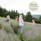 Victoria's Lavender Home Essential Products Set - Image 7