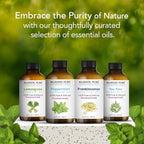 Majestic Pure Essential Oil - Image 3