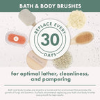 EcoTools Dry Body Brush, for Post Shower & Bath Skincare Routine, Removes Dirt - Image 11