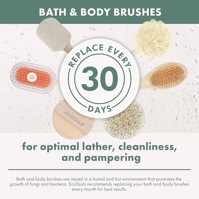 EcoTools Dry Body Brush, for Post Shower & Bath Skincare Routine, Removes Dirt - Image 11