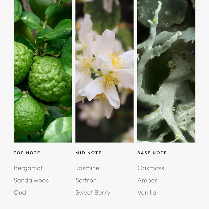 Aroma360 - Chandelier Pro Pod Fragrance Oil Blend | Hotel Inspired Luxury - Image 4