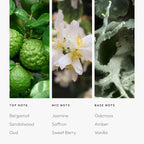 Aroma360 - Chandelier Pro Pod Fragrance Oil Blend | Hotel Inspired Luxury - Image 4