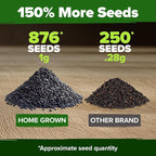 HOME GROWN Thai Basil Seeds Pack - Image 3
