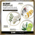 Urban Naturals Car Air Freshener Hanging + Vent Clip, 24K Citron Scent Diffuser - Image 4
