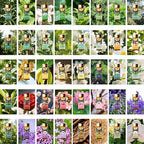 80 Pcs Pure Essential Oils for Diffusers for Home, Candle and Soap Making - Image 4
