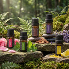 SACATR 24 Pcs Essential Oil Set - Image 4