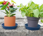 LWALRS Plant Saucer 14 Inch 2 Pack 6 8 10 12 14 16 18 20 25, Plastic Plant Trays - Image 5