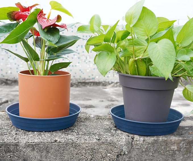 LWALRS Plant Saucer 14 Inch 2 Pack 6 8 10 12 14 16 18 20 25, Plastic Plant Trays - Image 5