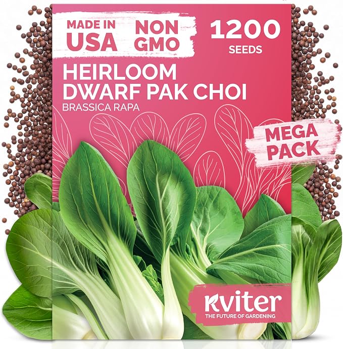 KVITER 1, 200 Baby Bok Choy Seeds by KVITER