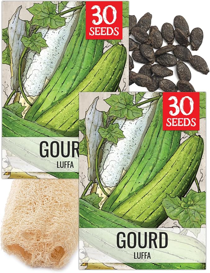 Seed Needs Luffa Seeds for Planting Loofah Sponge Gourds by SeedNeeds