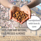 Essentially KateS Sweet Almond Oil 33.8 Fl Oz - Image 6