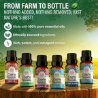 GuruNanda Essential Oil Blends – 6 Pack, Breathe Easy, Tranquility, Relaxation - Image 3