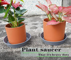 LWALRS Plant Saucer 14 Inch 4 Pack 6 8 10 12 14 16 18 20 25, Plastic Plant Trays - Image 3