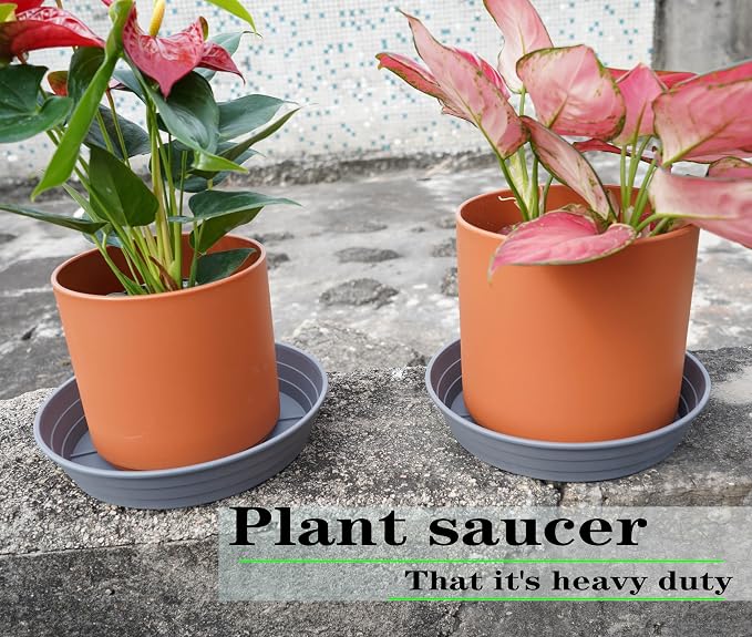 LWALRS Plant Saucer 14 Inch 2 Pack 6 8 10 12 14 16 18 20 25, Plastic Plant Trays - Image 3
