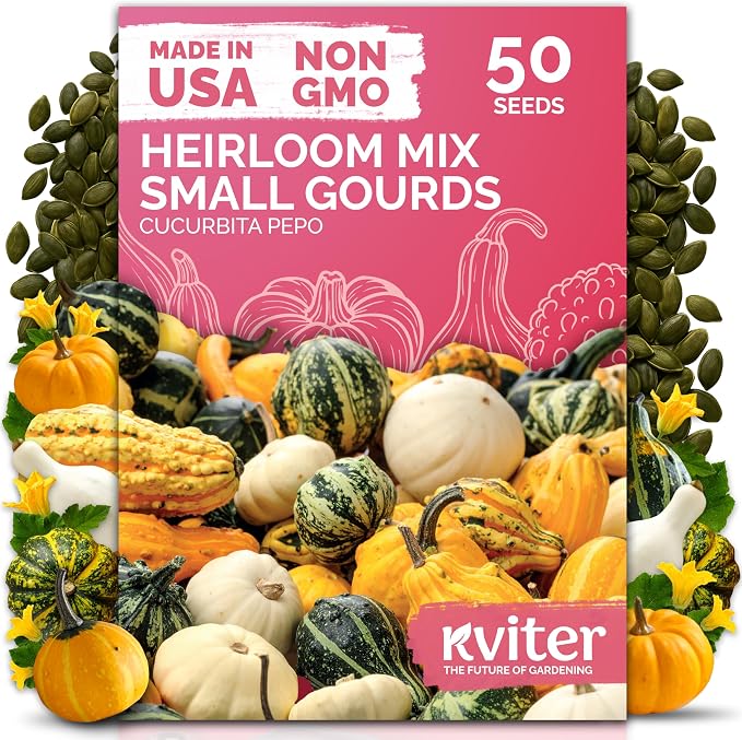 KVITER 50 Small Gourd Seeds Mix – Ornamental Fall Decor Gourds, Non GMO & by KVITER