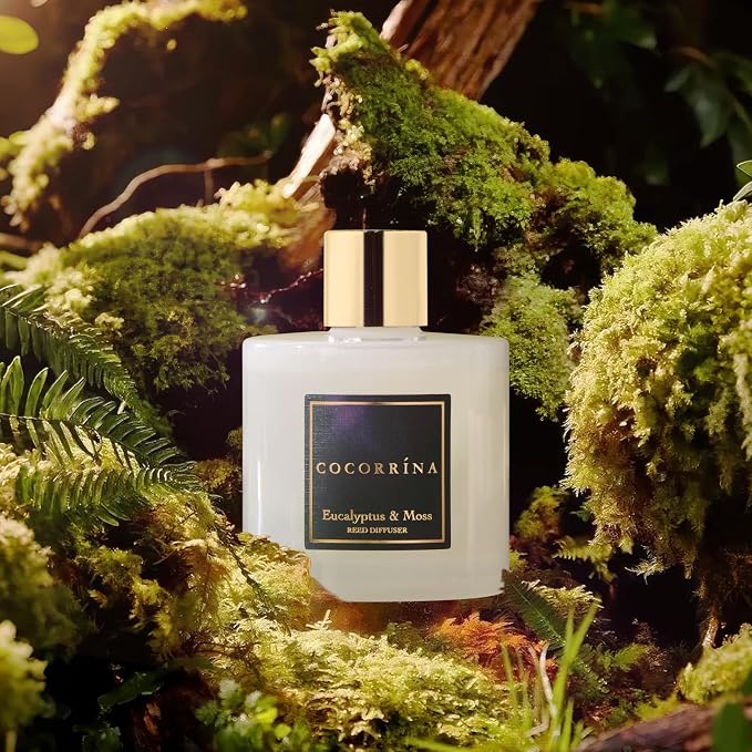 Cocorrína Reed Diffuser Sets- Eucalyptus & Moss Scented Diffuser - Image 3
