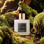 Cocorrína Reed Diffuser Sets- Eucalyptus & Moss Scented Diffuser - Image 3