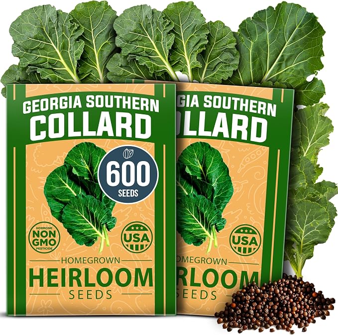 HOME GROWN Georgia Southern Collard Green Seeds 600+ Heirloom Non-GMO Seeds by HOMEGROWN