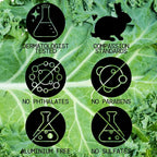 Pacifica Kale Yeah! Redness Rehab Serum – Niacinamide & Super Greens Face Serum - Image 5