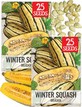 Seed Needs Winter Squash Seeds for Planting Delicata Squashes by SeedNeeds