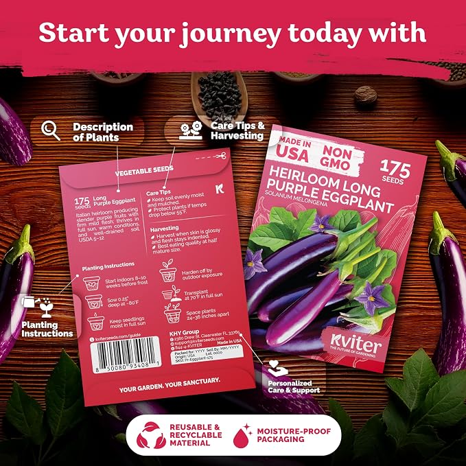 KVITER 175 Long Purple Eggplant Seeds – Asian Eggplant, Dark Purple Italian Egg - Image 2