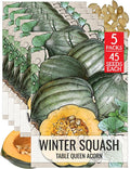 Seed Needs Winter Squash Seeds for Planting Table Queen Squashes by SeedNeeds