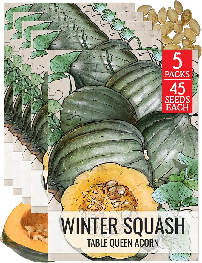 Seed Needs Winter Squash Seeds for Planting Table Queen Squashes by SeedNeeds