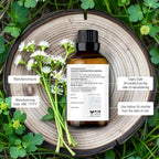 Majestic Pure Essential Oil - Image 6