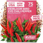 KVITER 75 Birds Eye Chili Pepper Seeds by KVITER