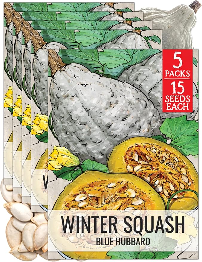 Seed Needs Blue Hubbard Winter Squash Seeds by SeedNeeds