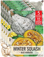 Seed Needs Blue Hubbard Winter Squash Seeds by SeedNeeds