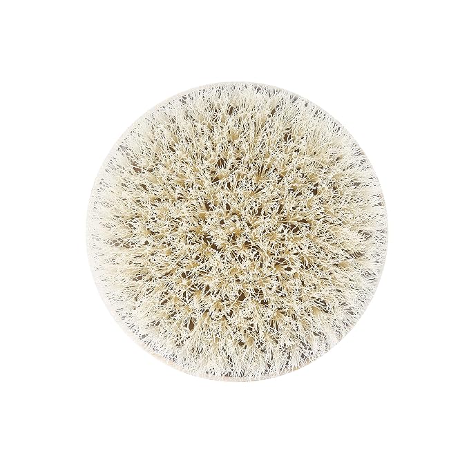 EcoTools Dry Body Brush, For Post Shower & Bath Skincare Routine, Removes Dirt - Image 3