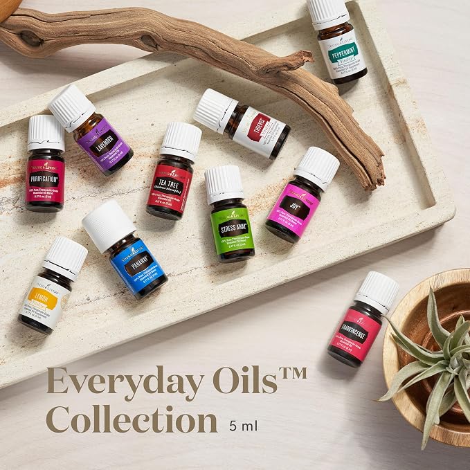 Young Living Everyday Oils Essential Oil Collection | 10 Popular Essential Oils - Image 2