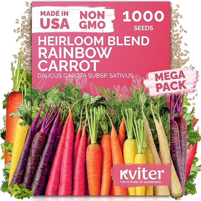 KVITER 1, 000 Rainbow Carrot Seeds by KVITER